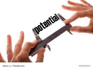 Auf der Suche nach dem Potenzial von Mitarbeitern